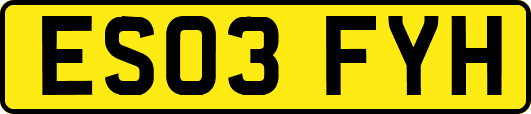 ES03FYH