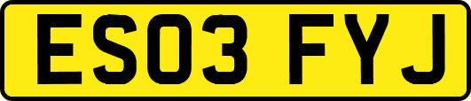 ES03FYJ