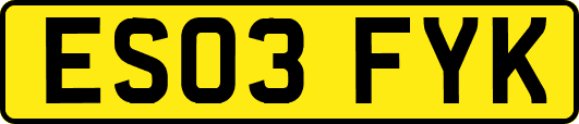 ES03FYK