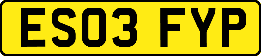 ES03FYP