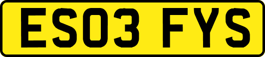ES03FYS