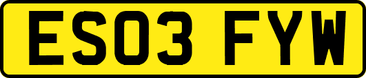 ES03FYW