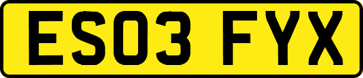 ES03FYX