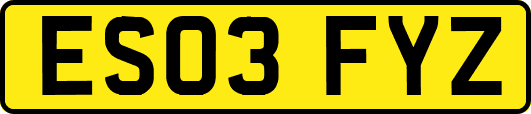 ES03FYZ