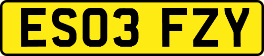 ES03FZY