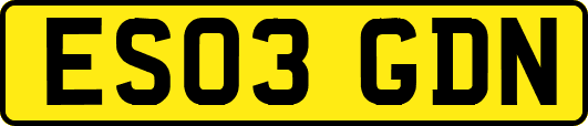 ES03GDN