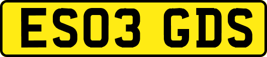 ES03GDS