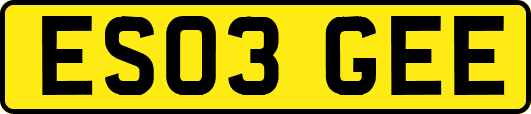 ES03GEE