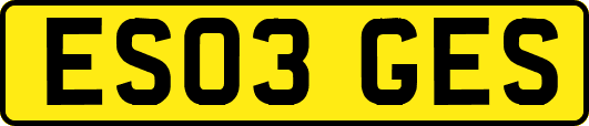 ES03GES