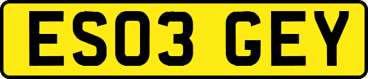 ES03GEY