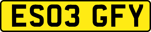 ES03GFY