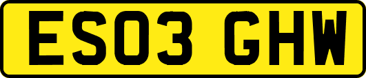 ES03GHW