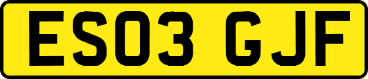 ES03GJF