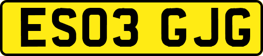 ES03GJG