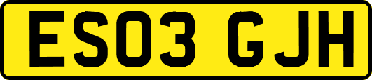 ES03GJH