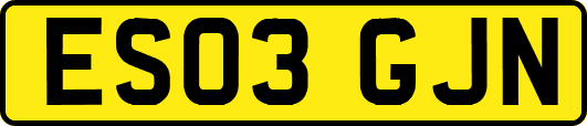 ES03GJN
