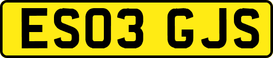 ES03GJS