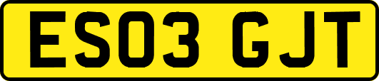 ES03GJT