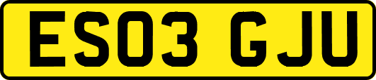 ES03GJU