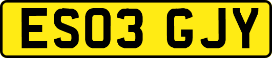 ES03GJY