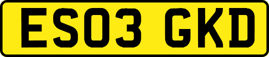 ES03GKD