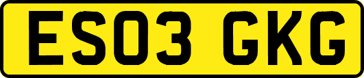 ES03GKG