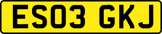 ES03GKJ