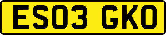 ES03GKO