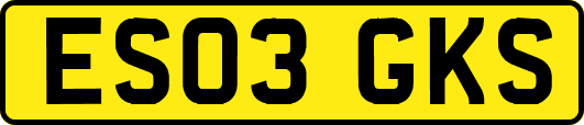 ES03GKS