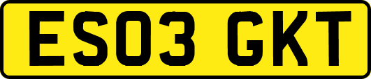 ES03GKT