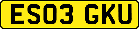 ES03GKU