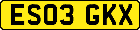 ES03GKX