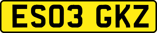 ES03GKZ