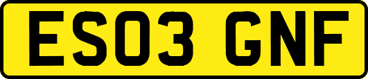 ES03GNF