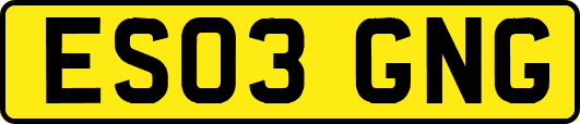 ES03GNG