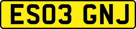ES03GNJ