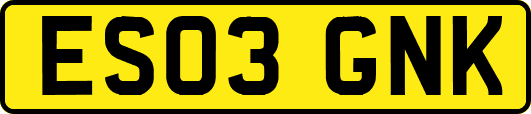 ES03GNK