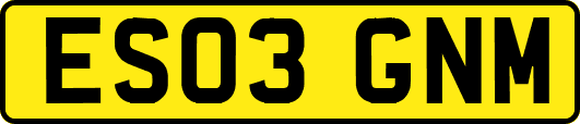 ES03GNM