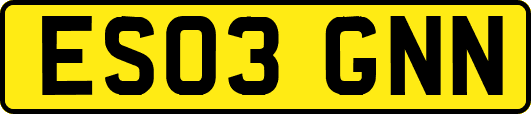 ES03GNN