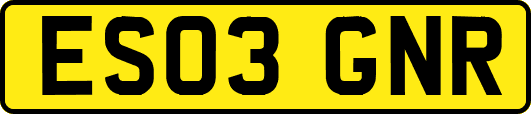 ES03GNR