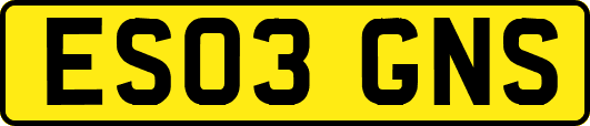 ES03GNS