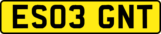 ES03GNT