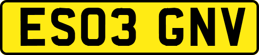 ES03GNV