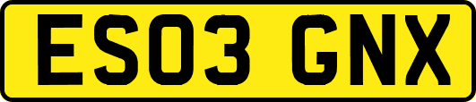ES03GNX