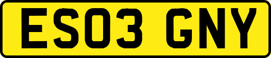 ES03GNY