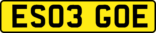 ES03GOE