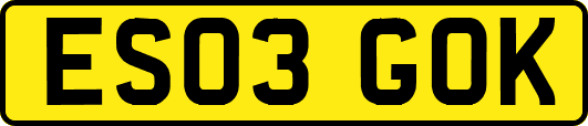 ES03GOK