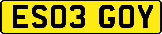 ES03GOY
