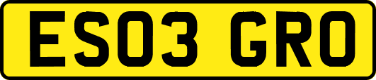 ES03GRO