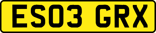 ES03GRX
